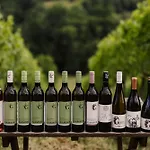 Gaestezimmer & Weingut Gamser Leutschach