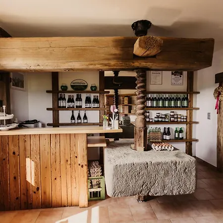 Bed & Breakfast Gaestezimmer & Weingut Gamser
