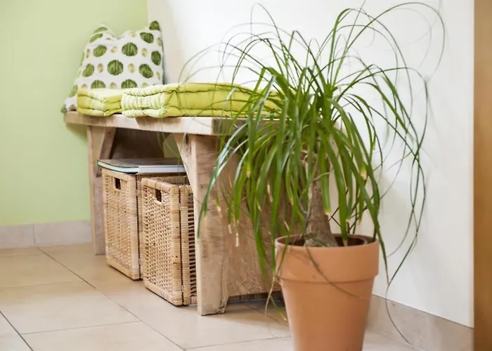 Bed and Breakfast Gaestezimmer & Weingut Gamser Leutschach