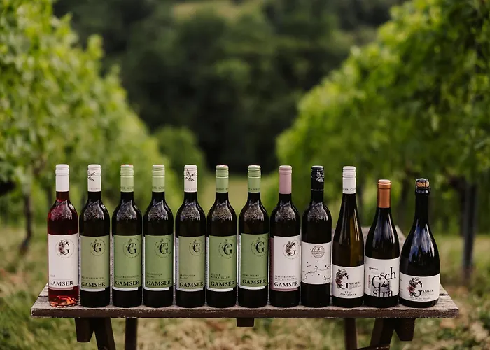 Gaestezimmer & Weingut Gamser Leutschach